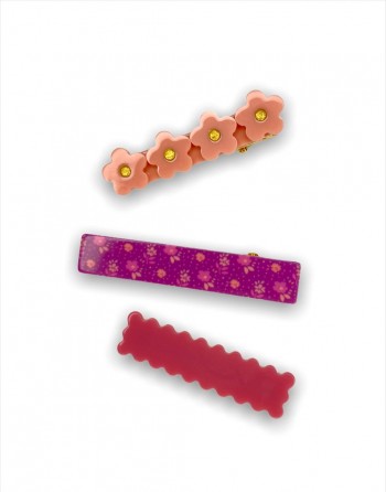 Clip Set para el Cabello...