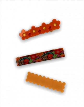 Clip Set para el Cabello...