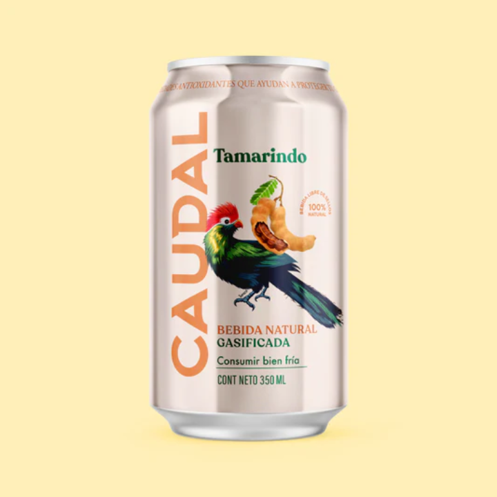 Bebida Natural Gasificada Tamarindo Caudal 350ml