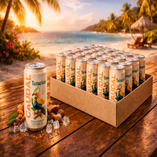 Pack 24 Bebidas Naturales Gasificadas Tamarindo Caudal 350ml