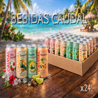Pack 24 Bebidas Mixtas Naturales Gasificadas Caudal 350ml