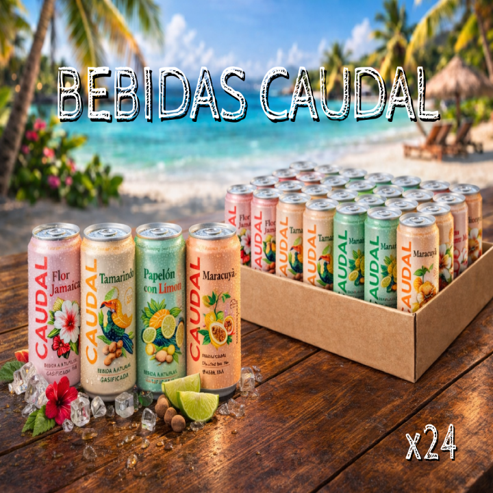 Pack 24 Bebidas Mixtas Naturales Gasificadas Caudal 350ml